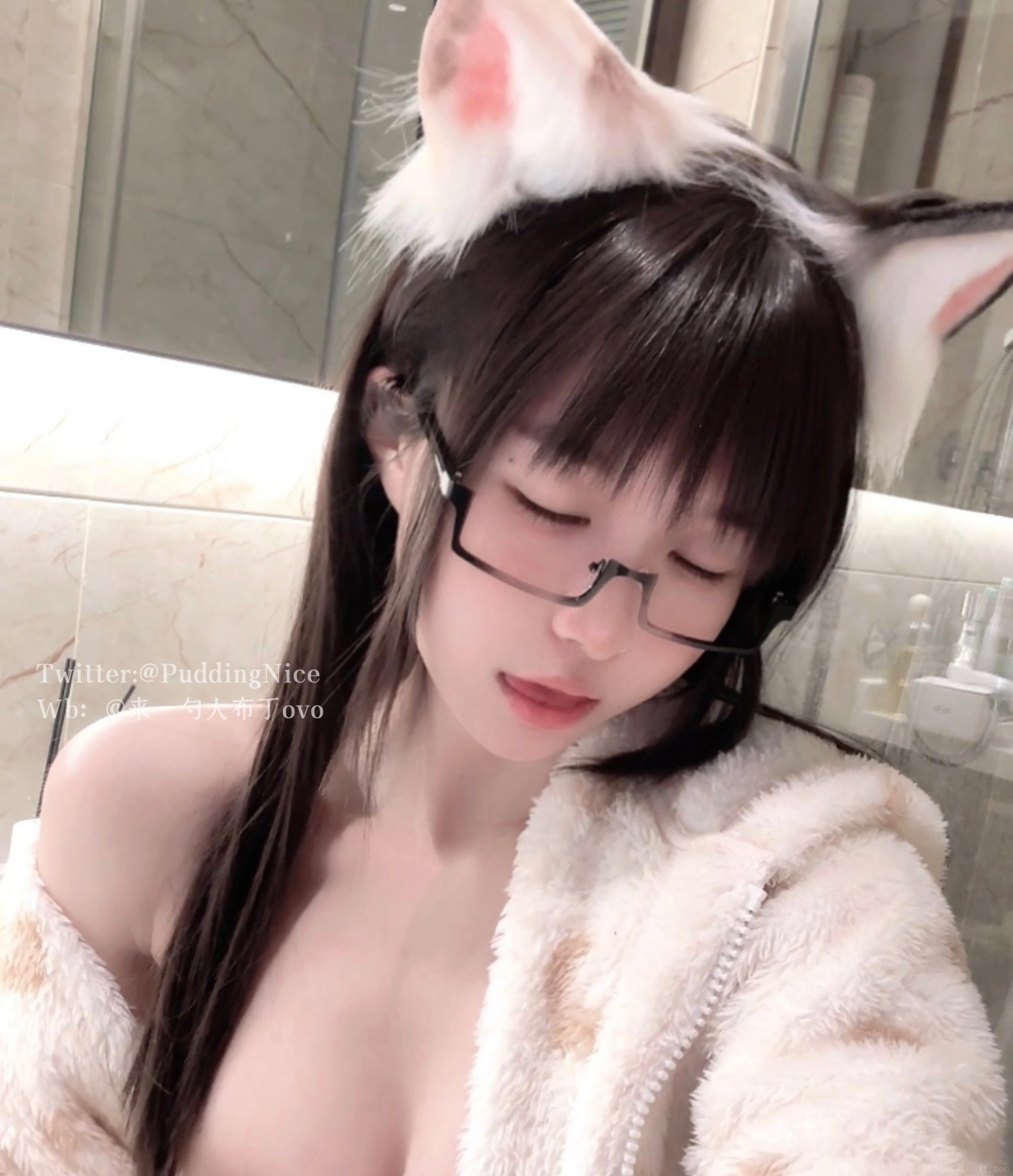布丁大法 – NO.045 芝士猫 1